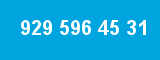 929 596 45 31